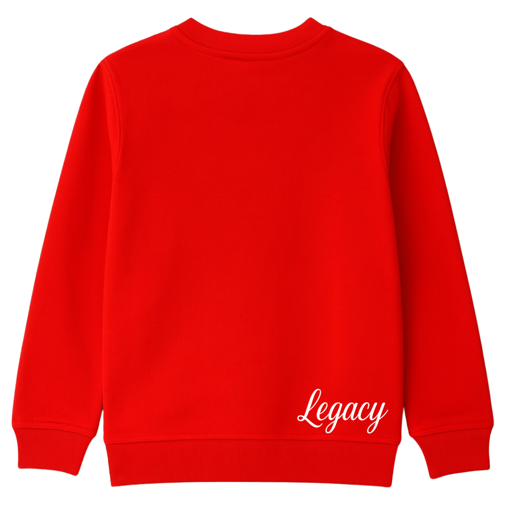 Baby Tiger Kinder Pullover